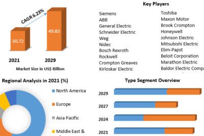 Energy Efficient Motor Market Analysis, Developments Status and Forecast 2029