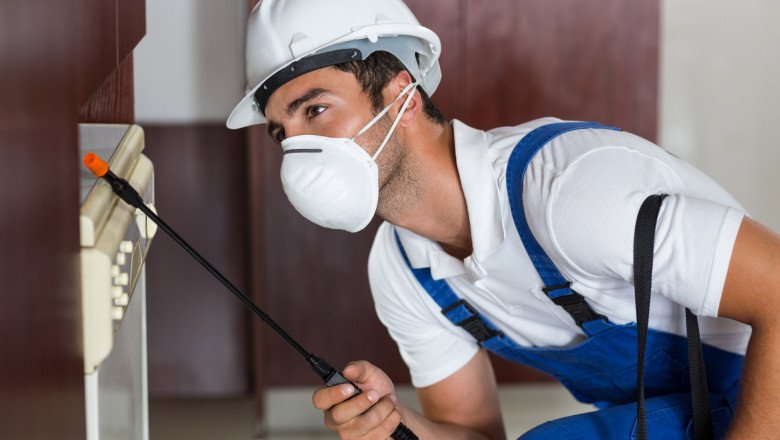 Why Does Your Home Need Annual Termite Inspection?