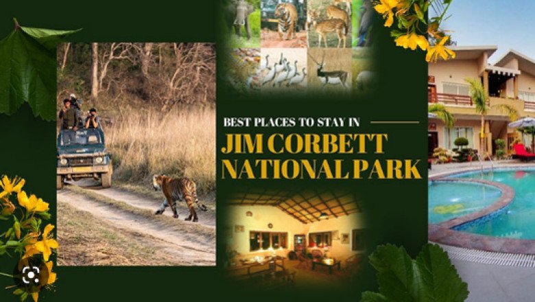 Some of the Best Places to Visit Near Jim Corbett
