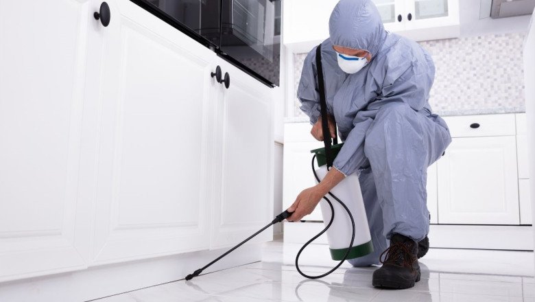6 Reasons Why You Need to Invest in a Pest Inspection Today!