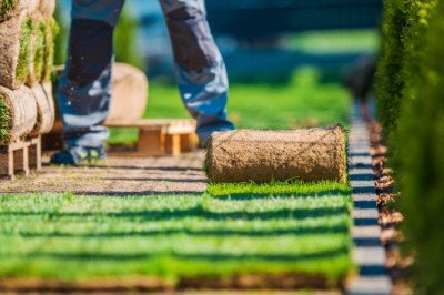 5 Ways To Create A Budget Friendly Landscape Design