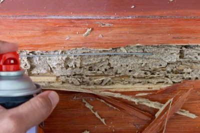 5 Reasons Why Pest Inspection is a Must-Health Check to Your Home