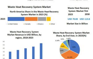 Waste Paper Recycling Market Outlook: Industry Dynamics, Regional Insights and Forecast