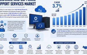 Hardware and Software Support Services Market Insights