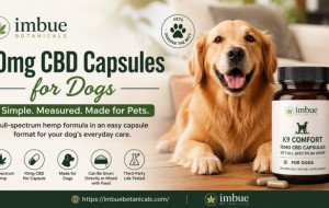 Premium 10mg CBD Capsules for Dogs for Everyday Pet Care