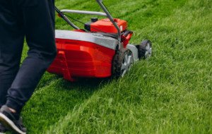 Improve Your Lawn Naturally with Core Aeration and Grass Seeding