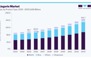 Lingerie Market Analysis of Consumer Fit and Comfort Priorities