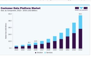 Customer Data Platform Market Opportunities from Predictive Analytics