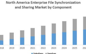 North America Enterprise File Synchronization and Sharing Market Set for Rapid Growth Amid Rising Cloud Adoption