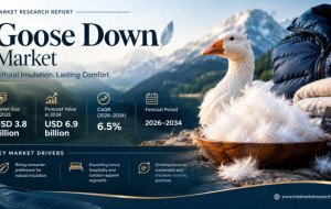 Goose Down market was valued at USD 3.8 billion in 2025