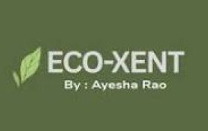Natural Herbal Products by Ecoxent – Simple Care Inspired by Nature