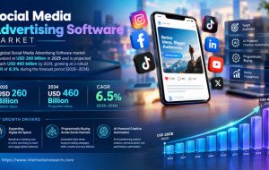 Social Media Advertising Software market was valued at USD 260 billion in 2025