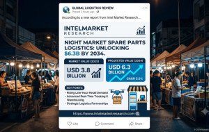 $6.3 Billion Night Market Boom: Unlocking the Spare Parts Logistics Sector (2025–2034)