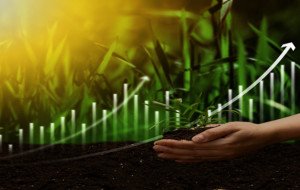 Nitrogen Prices Reflect Energy, Freight and Geopolitical Risks