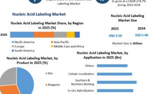 Nucleic Acid Labeling Market Poised for Growth Amid Rising Precision Medicine Adoption