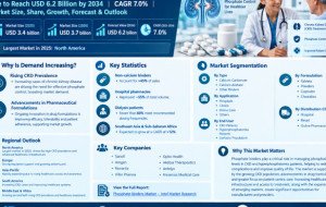 Phosphate Binders Market Size to Reach USD 6.2 Billion by 2034 | CAGR 7.0% | Market Size, Share, Growth, Forecast &amp; Outlook