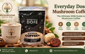Everyday Dose Mushroom Coffee: A 2026 Guide to Better Energy