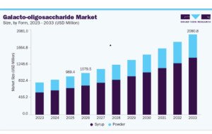 Galacto-Oligosaccharide Market Trends in Health-Oriented Food