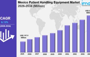 Mexico Patient Handling Equipment Market Size Growth, Industry Trends Report 2034