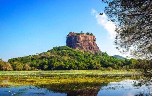 Discover Sri Lanka: Unforgettable Journeys with Beauty Lanka Travels