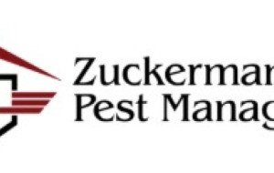 Professional Pest Control vs DIY Pest Control: What Homeowners Should Know