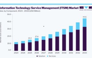 Information Technology Service Management Market Adoption in Healthcare IT