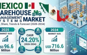 Mexico Warehouse Management Systems Market Size Projected to Reach USD 716.6 Million by 2034 with a CAGR of 24.20%