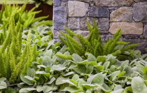 Why Homeowners Choose Pavers Melbourne to Transform Outdoor Spaces