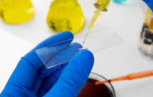 Global Peptide Sciences: Buy Research Peptides Australia for Laboratory Research