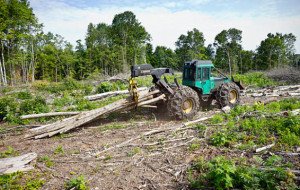How Advanced Forestry Machinery Is Supporting Sustainable Forest Management in India