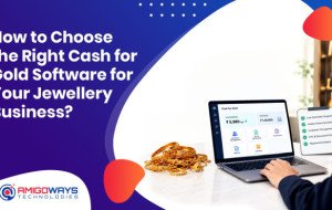 How To Choose Right Cash For Gold Software Jewellery Business India  - Amigoways