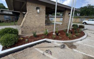 Transformed Landscaping Co. Creates Sustainable Yards With Xeriscape in Austin Texas