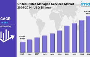 United States Managed Services Market Size, Share &amp; Industry Trends Report 2034