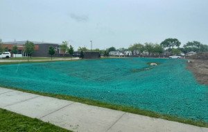What Are Commercial Hydroseeding Services and How Do They Benefit Your Business?