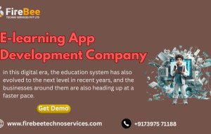 What Developers Need to Solve When Building E-Learning App Development Company