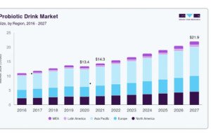 Probiotic Drink Market: Dairy-Based Products Maintain a Strong Position