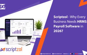 Why Every Business Needs HRMS Payroll Software in 2026? - Scriptzol
