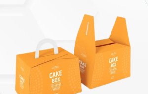 Cake Packages for Bakeries and Cake Brands in the USA