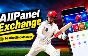 Saffron Exchange ID – Online Betting Guide