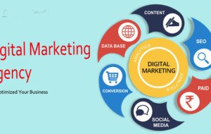 Best Digital Marketing Agency in Lahore to Grow Your Business Online