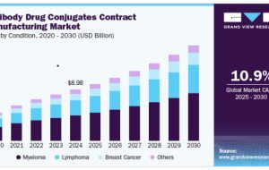 Antibody Drug Conjugates Contract Manufacturing Market Growth Fueled by Complex Manufacturing