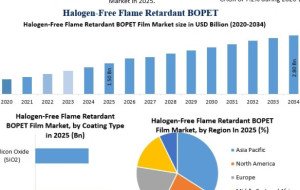 Halogen-Free Flame Retardant BOPET Film Industry: Competitive Landscape and Forecast