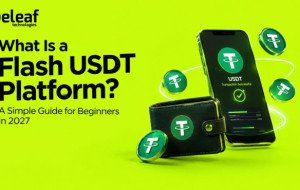 What Is a Flash USDT Platform? A Simple Guide for Beginners in 2027