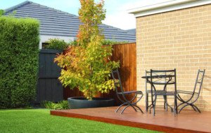 What Is Masonry Paint and Is Silicate Stain Really Better?