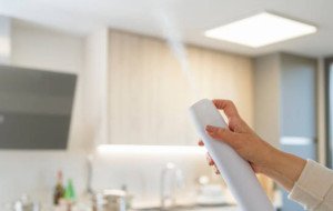 From Quick Sprays to Smart Dispensers: India’s Evolving Air Care Mix?