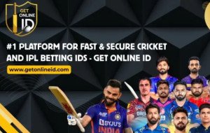Online Betting ID: Understanding Registration, Privacy and Account Safety