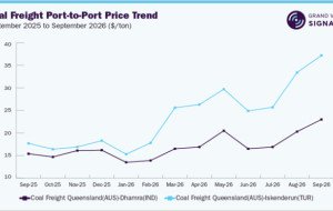 20-Foot vs. 40-Foot Container Pricing: Understanding Freight Assessments