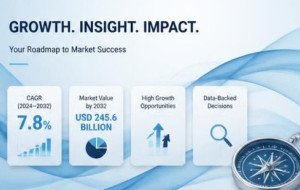 TWS Bluetooth Headset Market Size to Reach USD 90 Billion by 2034 | CAGR 9.0% | Market Size, Share, Growth, Forecast &amp; Outlook