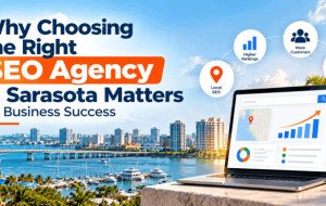 Why Choosing the Right SEO Agency in Sarasota Matters for Business Success
