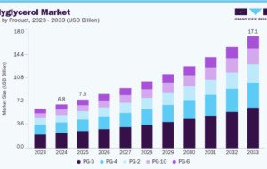 Polyglycerol Market Opportunities Across Emerging Applications